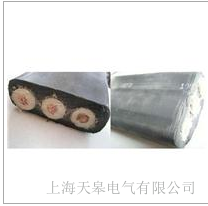 天皋電氣硅橡膠護(hù)套扁電纜 硅橡膠護(hù)套扁電纜廠家