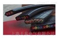 天皋電氣天車(chē)行車(chē)吊車(chē)扁電纜